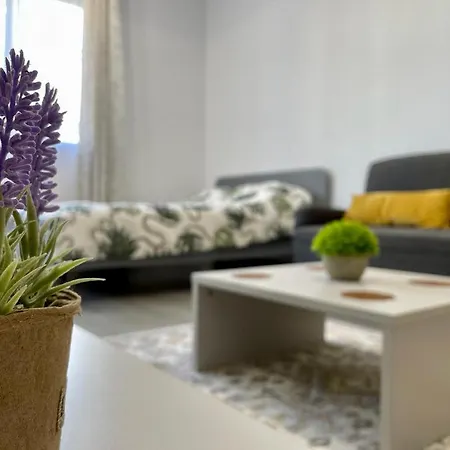 Belvedere View & With Free Parking & Gym *