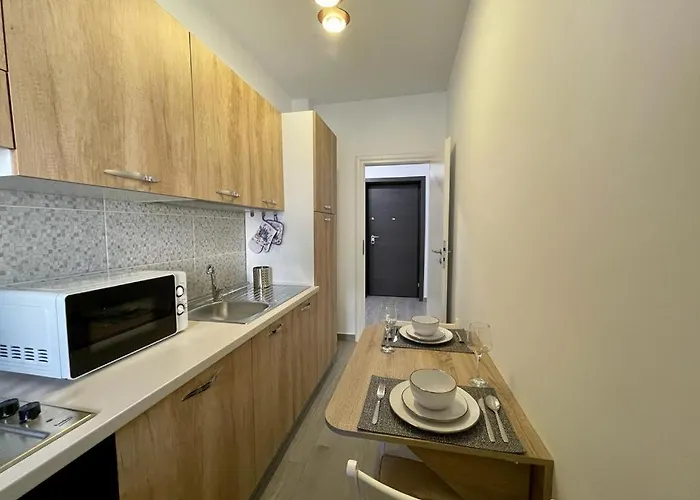 Belvedere View & With Free Parking & Gym Бухарест